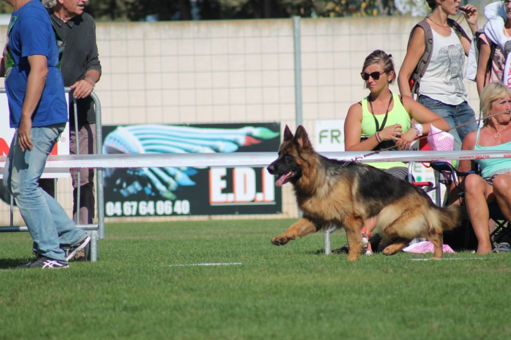 Queen vice championne de France 2018